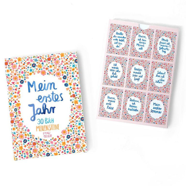 Meilensteinkarten Baby Mein Erstes Jahr Cover & Rücken