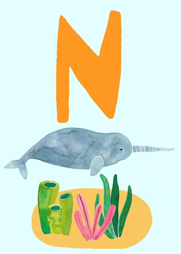 ABC Karte "N wie Narwal“ (Tier ABC)